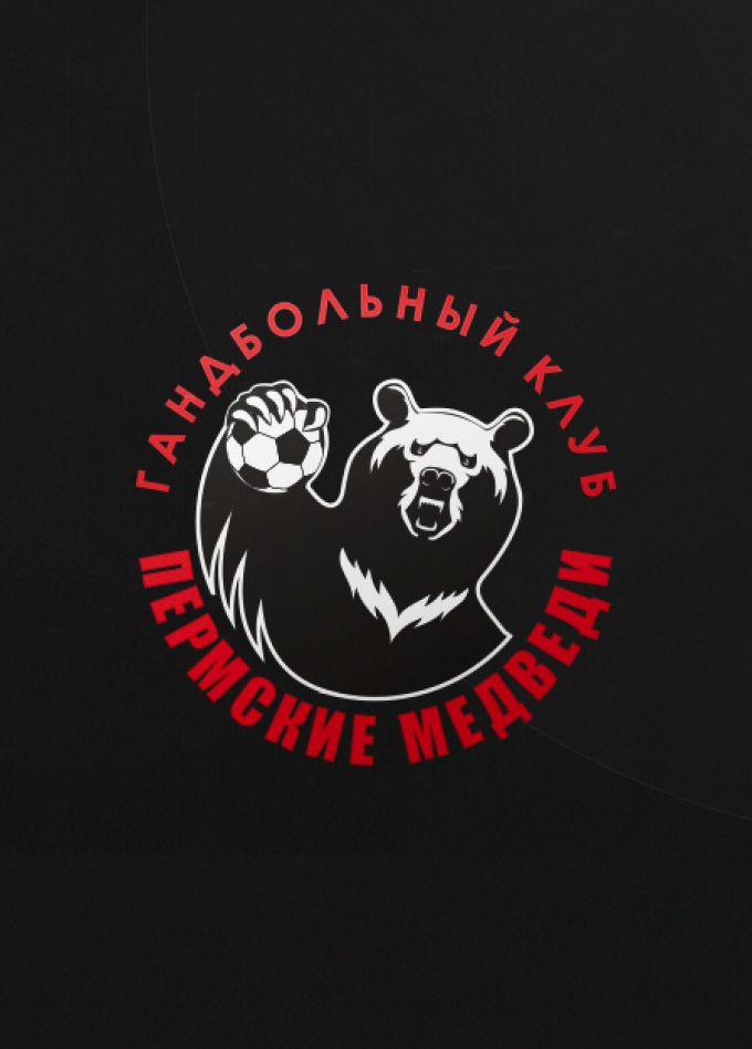 Гандбол. Пермские Медведи.
