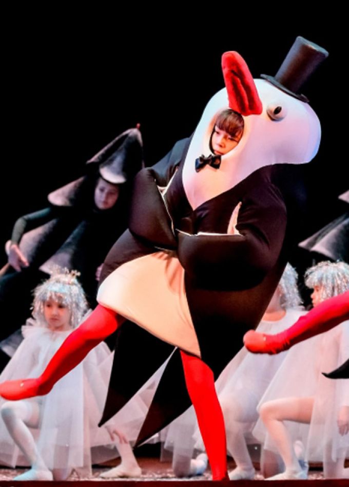 Новогодние приключения в оперной стране