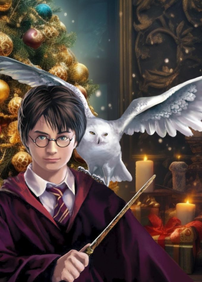 Рождество с Гарри Поттером