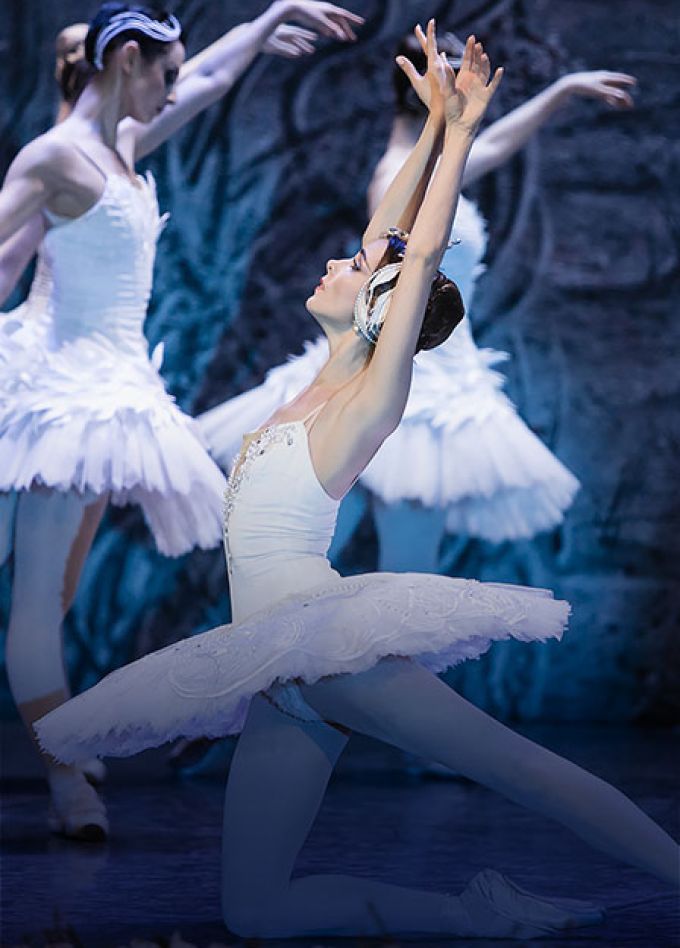 Лебединое озеро.