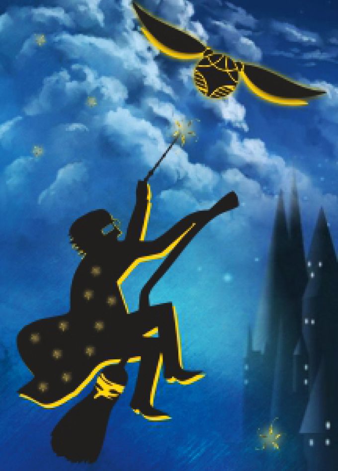 Симфония Гарри Поттер